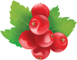 ribes