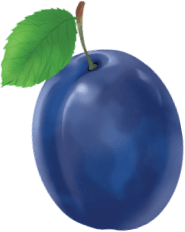 prugna